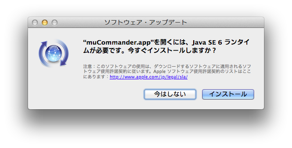 java runtime